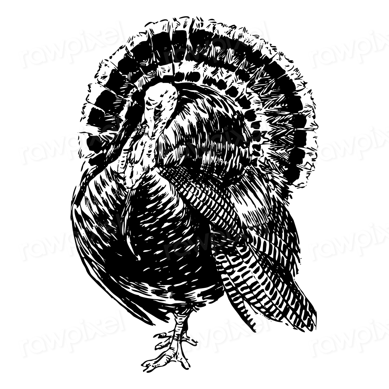 Novel Updates